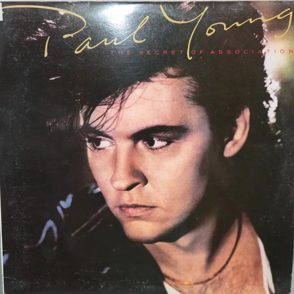 1-1115. LP음반 .PAUL YOUNG (THE SECRET OF ASSOCIATION) .가요 팝 클래식 라이센스 중고음반