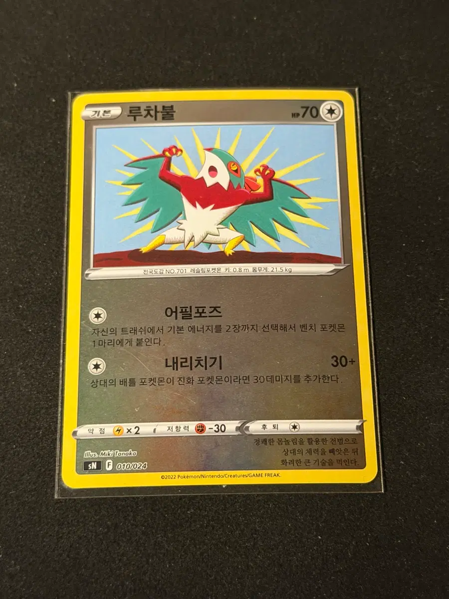 포켓몬 카드 루차불 홀로