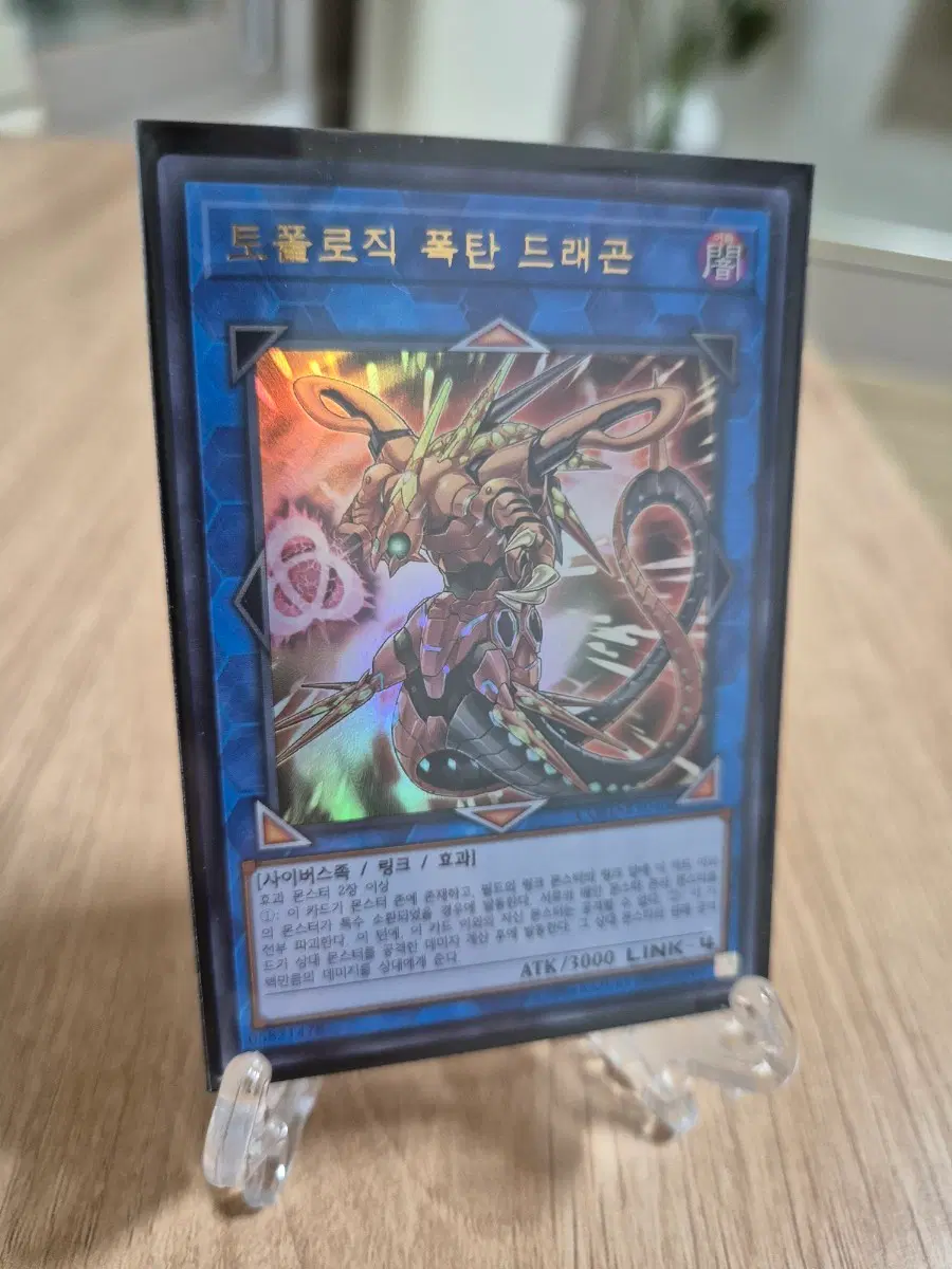 토폴로직 폭탄 드래곤 울레 COTD-KR046