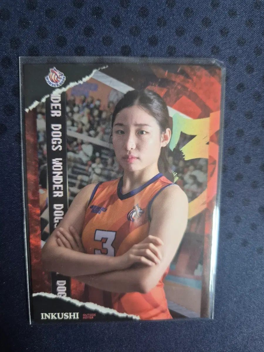 신인감독 김연경 원더독스 인쿠시 배구 카드