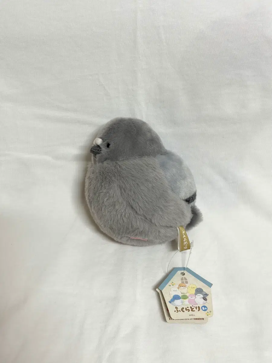비둘기 인형