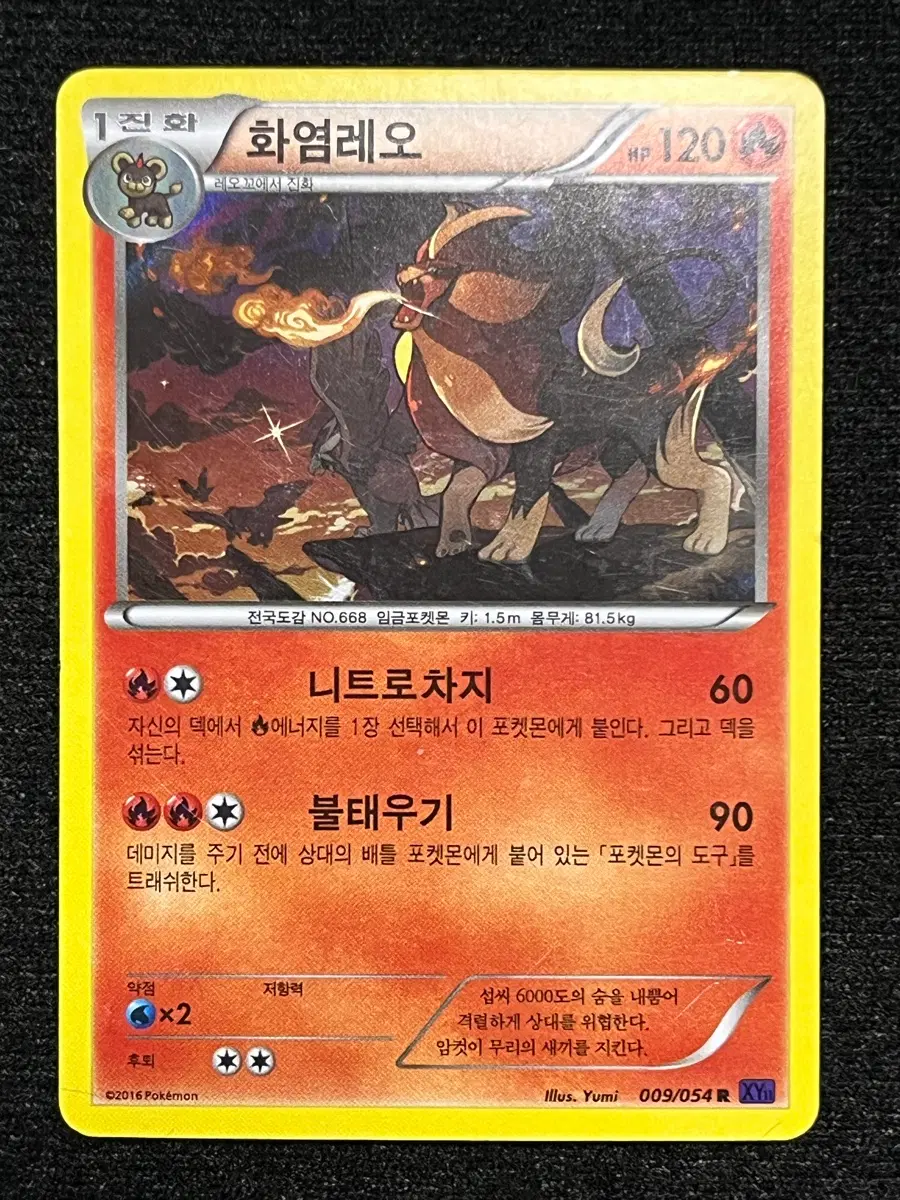 포켓몬카드 화염레오 (XY11)-2016-