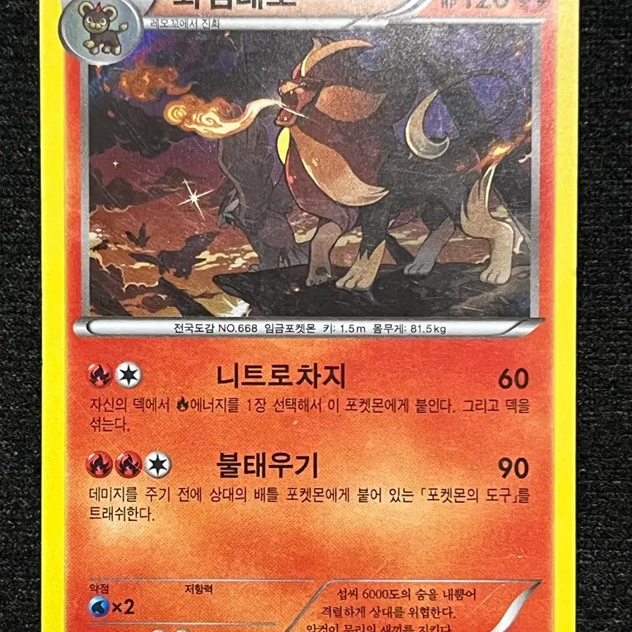 포켓몬카드 화염레오 (XY11)-2016-