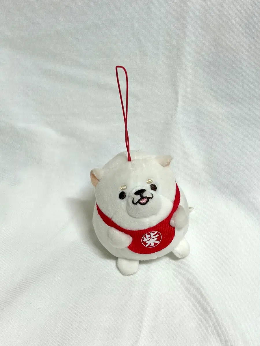 시바견 인형