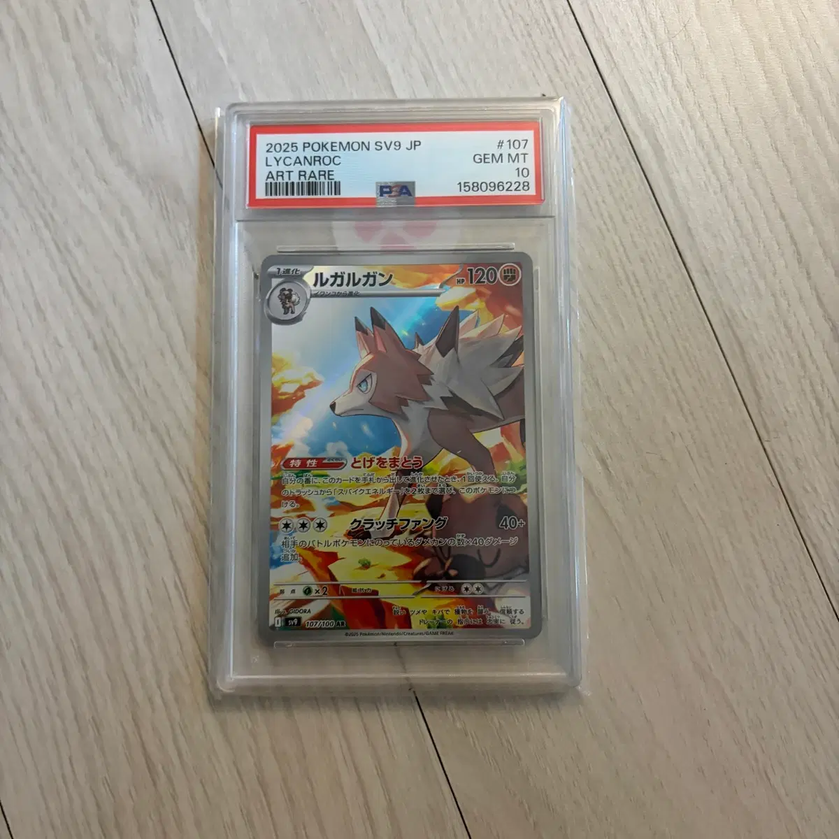 포켓몬카드 루가루암 AR psa10