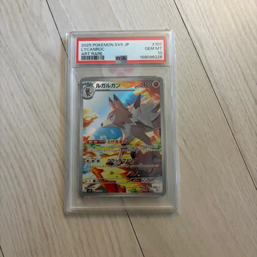 포켓몬카드 루가루암 AR psa10
