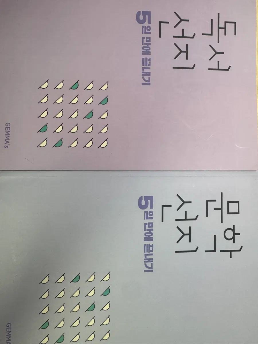 김젬마 독서/문학 선지 5일만에 끝내기