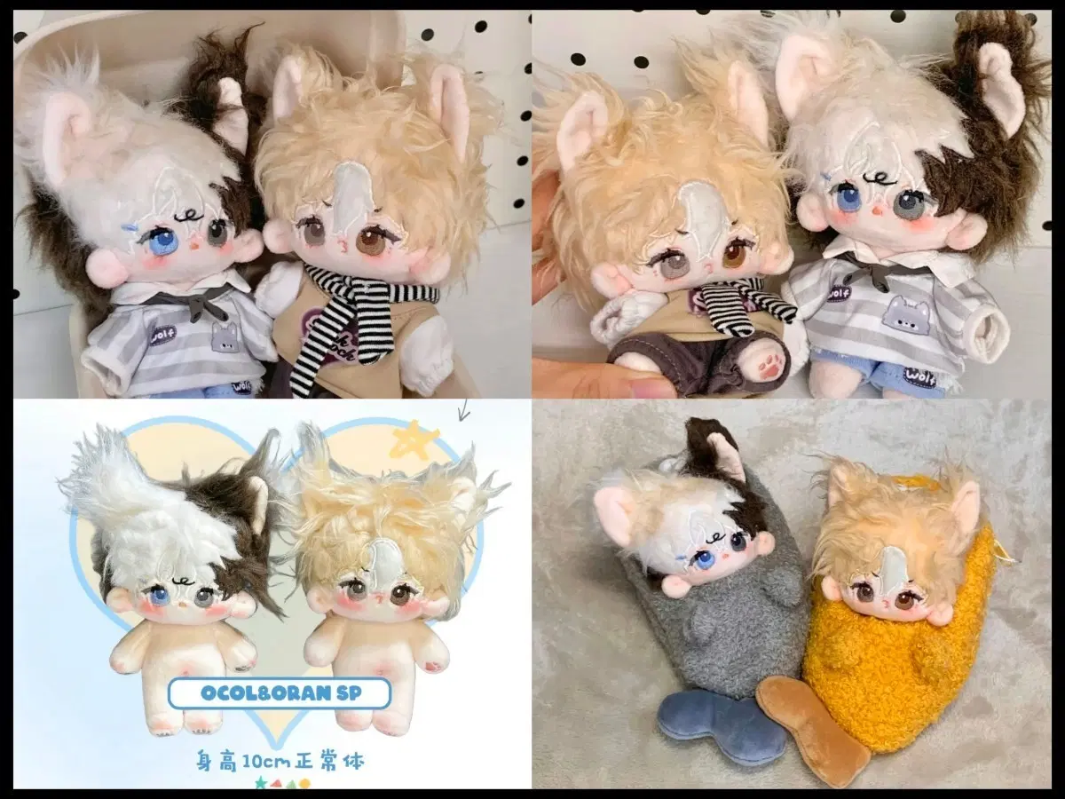무속성 10cm 인형 Ocol & Oran 뼈깅 오콜 오란 sp 투톤 오드아이