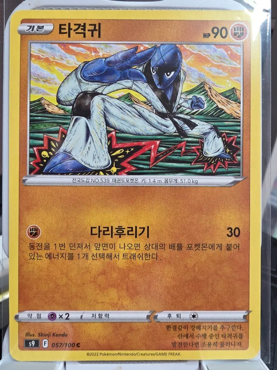 포켓몬 카드 타격귀 057/100