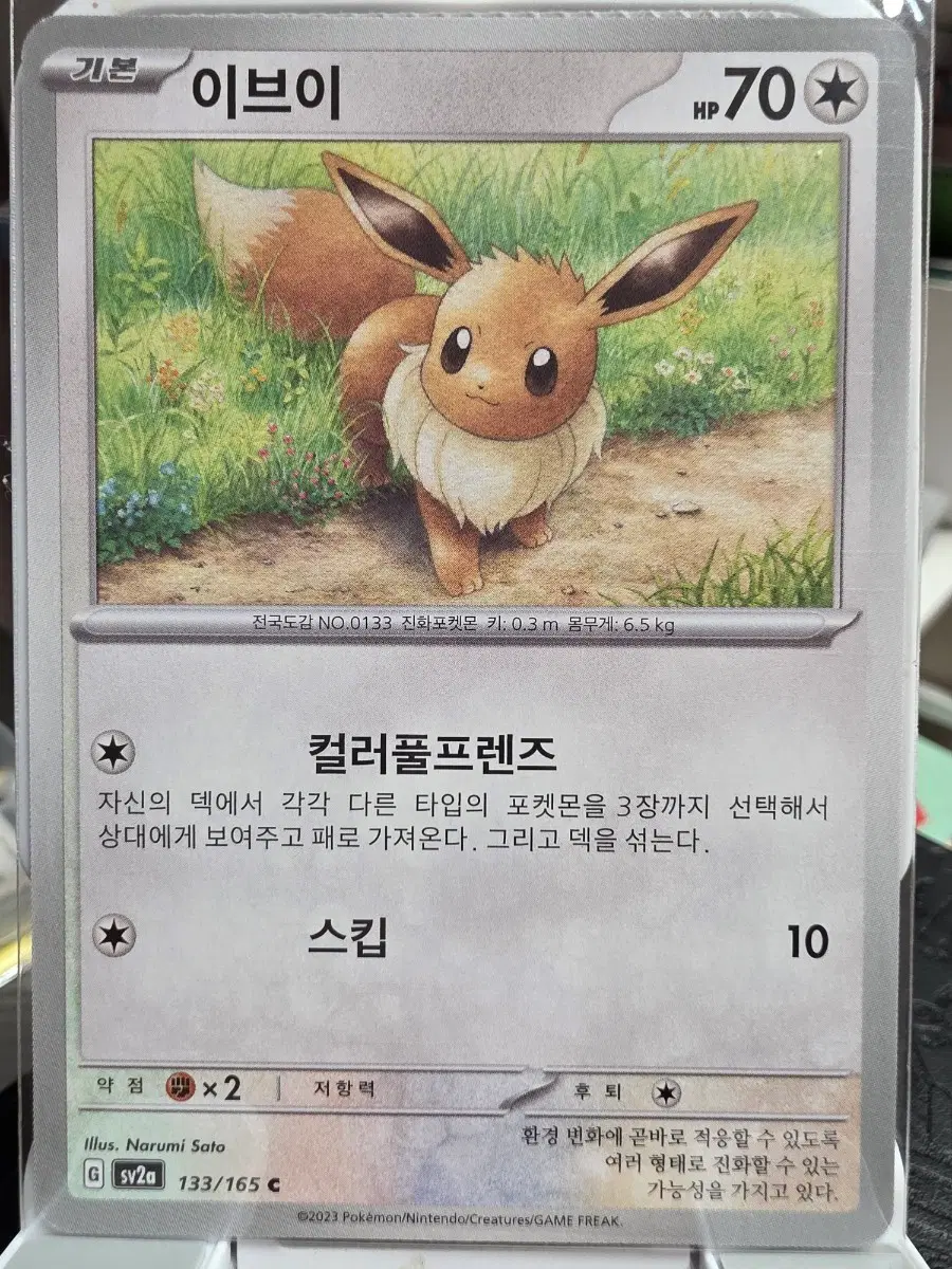 포켓몬 카드 이브이 133/165