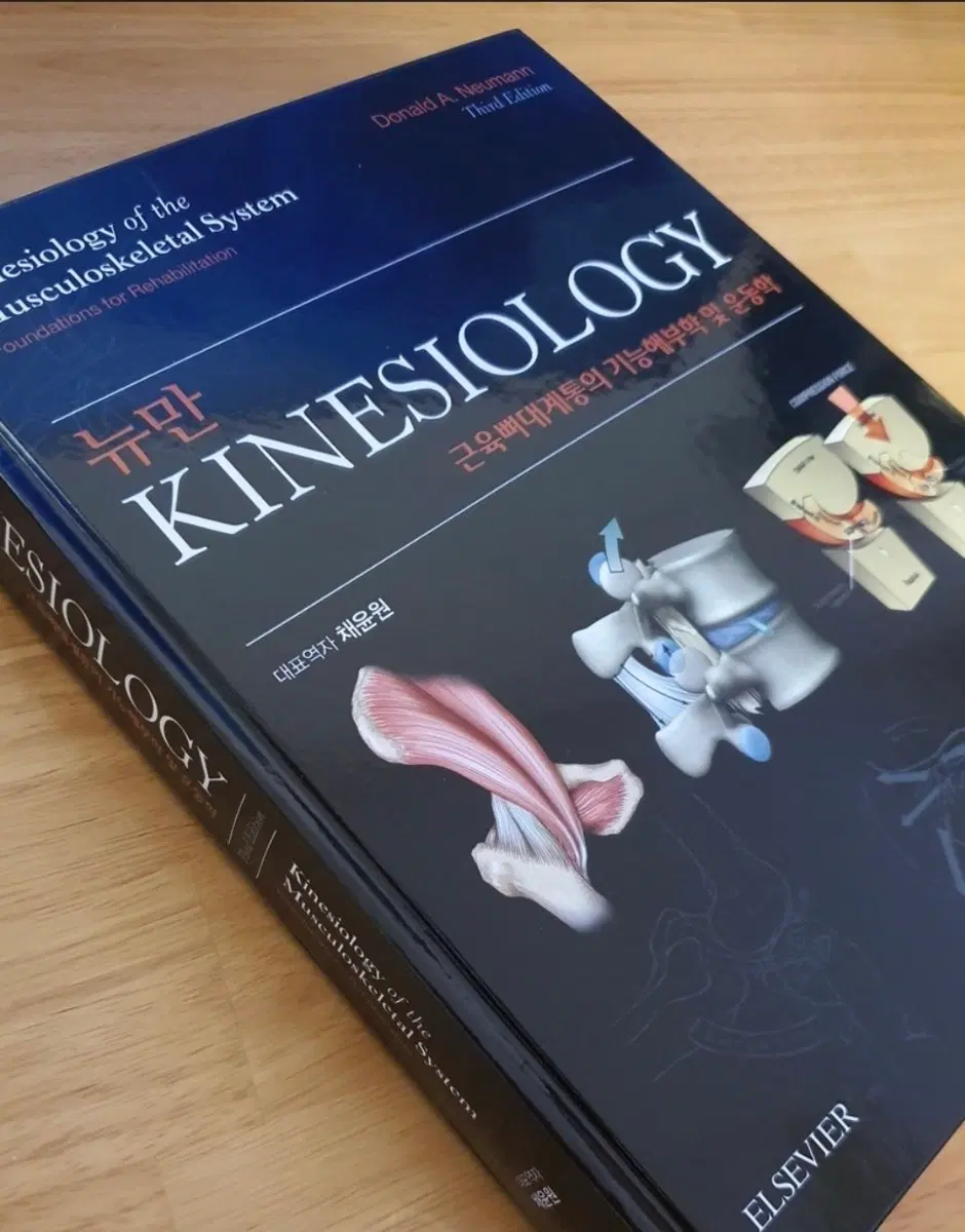 (새상품) 뉴만 kinesiology 3판