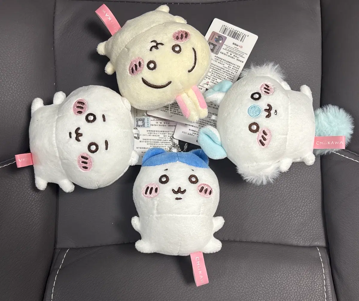 먼작귀 콩눈 치이카와 하치와레 우사기 모몽가