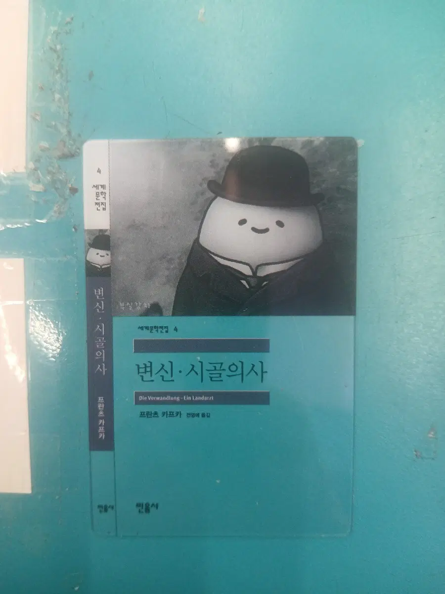 세계문학전집 변신 시골의사 프란츠 카프카