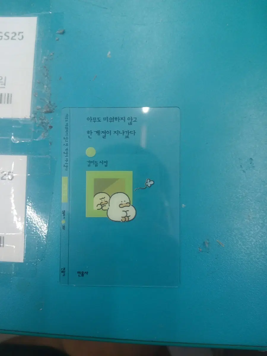김이듬 시집 아무도 미워하지 않고 한 계절이 지나갔다 민음사