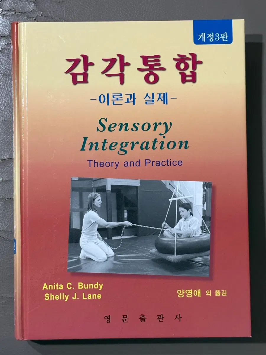 감각통합 -이론과 실제- 개정3판