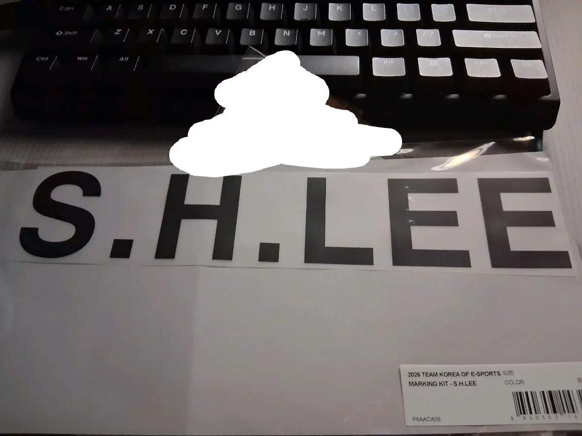 2026 팀 코리아 E-스포츠 마킹지 S.H.LEE