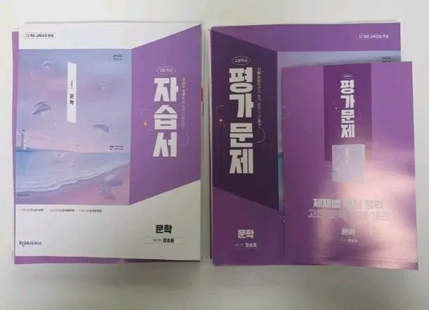 2022개정 천재(정호웅) 문학 평가문제집