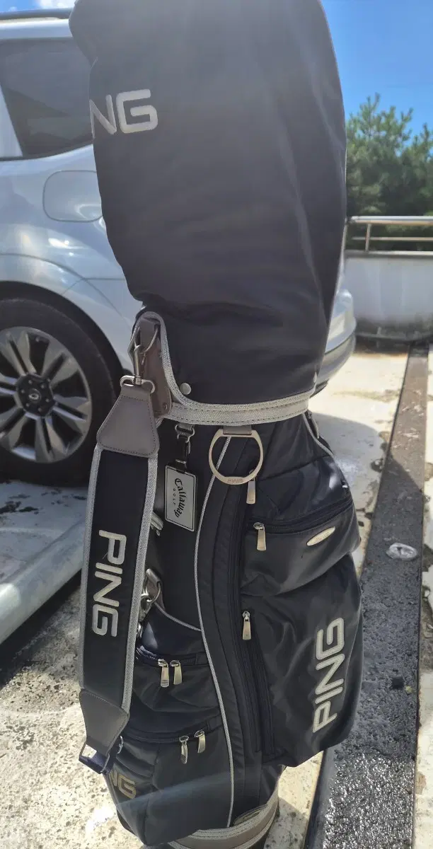 핑골프 카트백