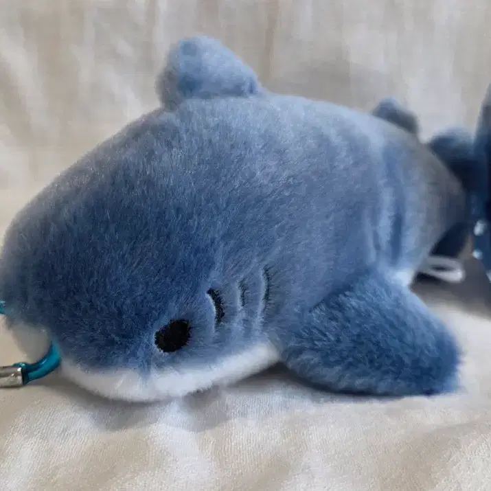 상어 인형 키링 블루