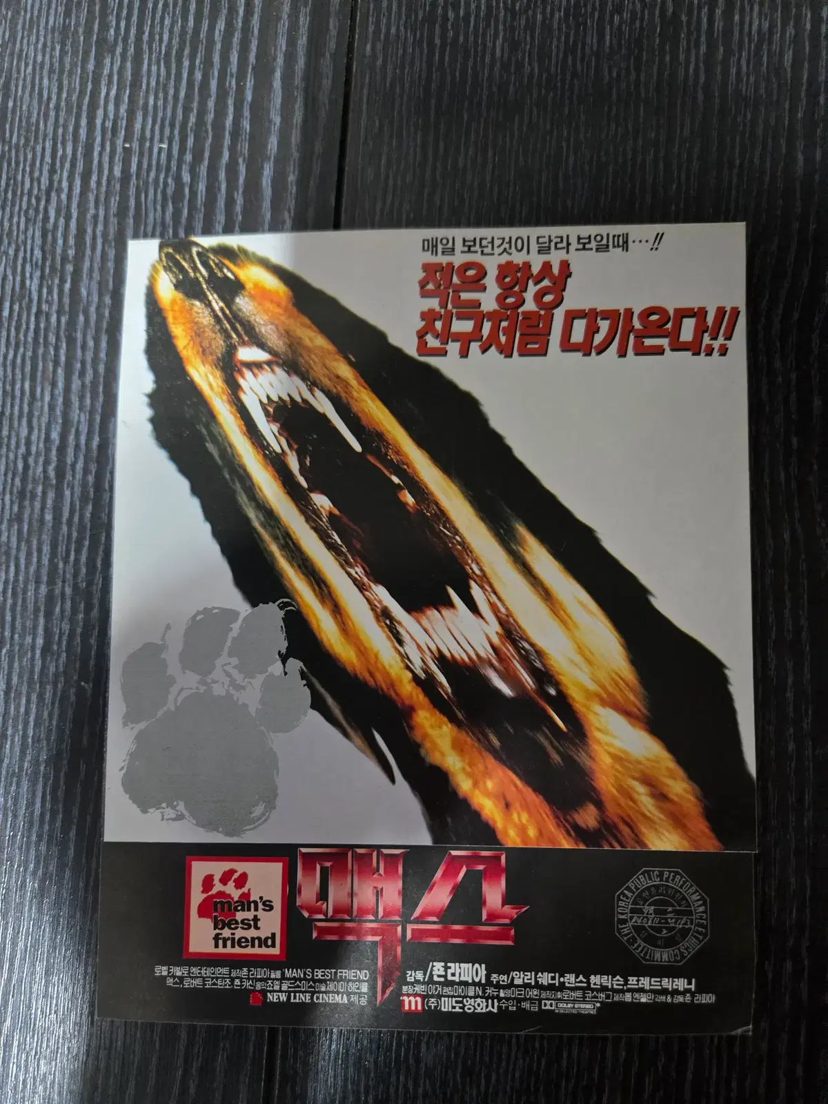 맥스/영화전단지/영화자료/고전희귀