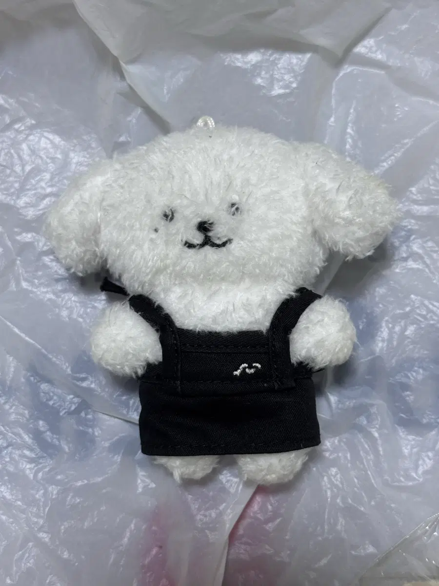 제노 인형 양도 합니다