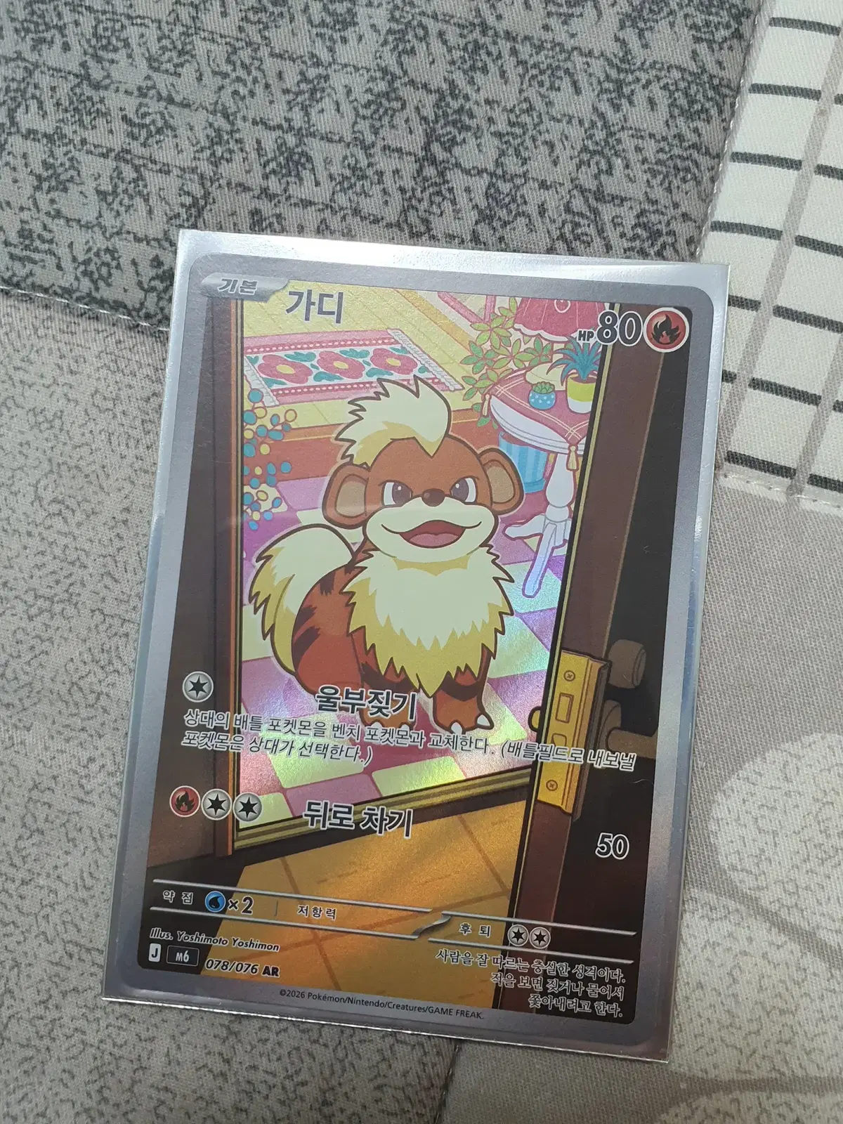 포켓몬카드 가디 AR