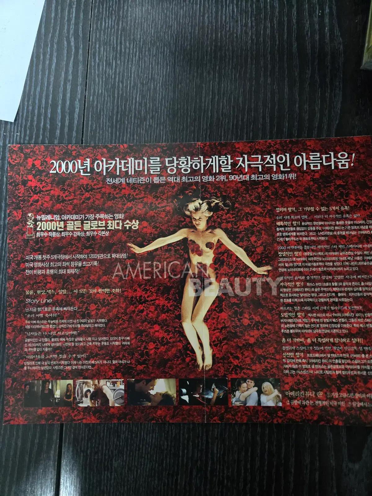 아메리칸뷰티/케빈스페이시/영화전단지/영화자료/고전희귀