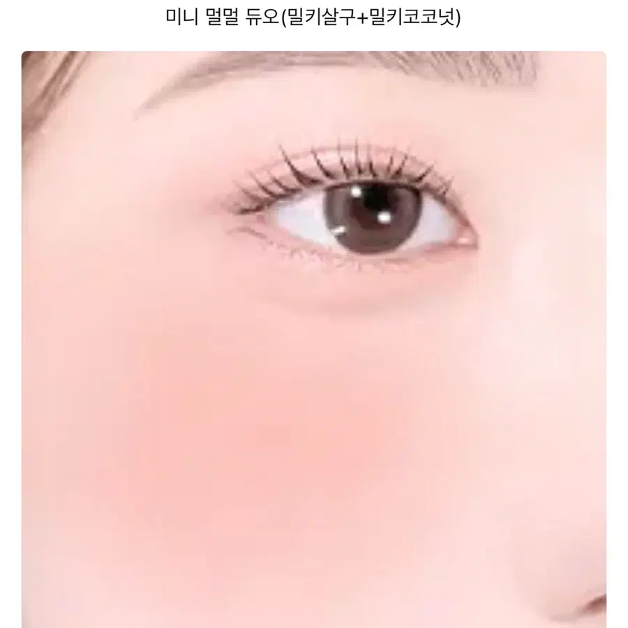 새상품) 투크 미니 멀멀 듀오 (밀키살구+밀키코코넛)