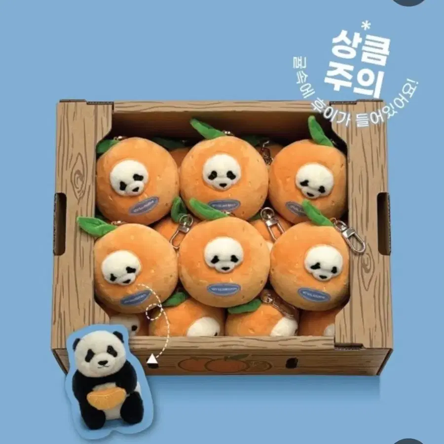 구해요) 귤메달 후이바오 봉제 키링 / 구석구석 전국여행