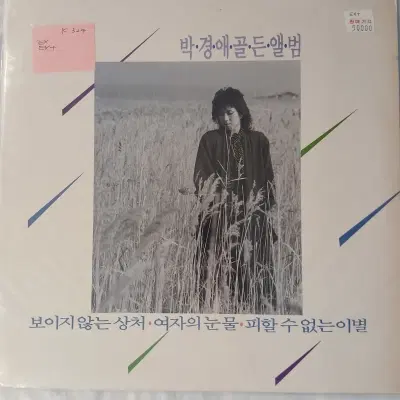 [중고가요LP] 박경애  골든앨범  곡예사의 첫사랑