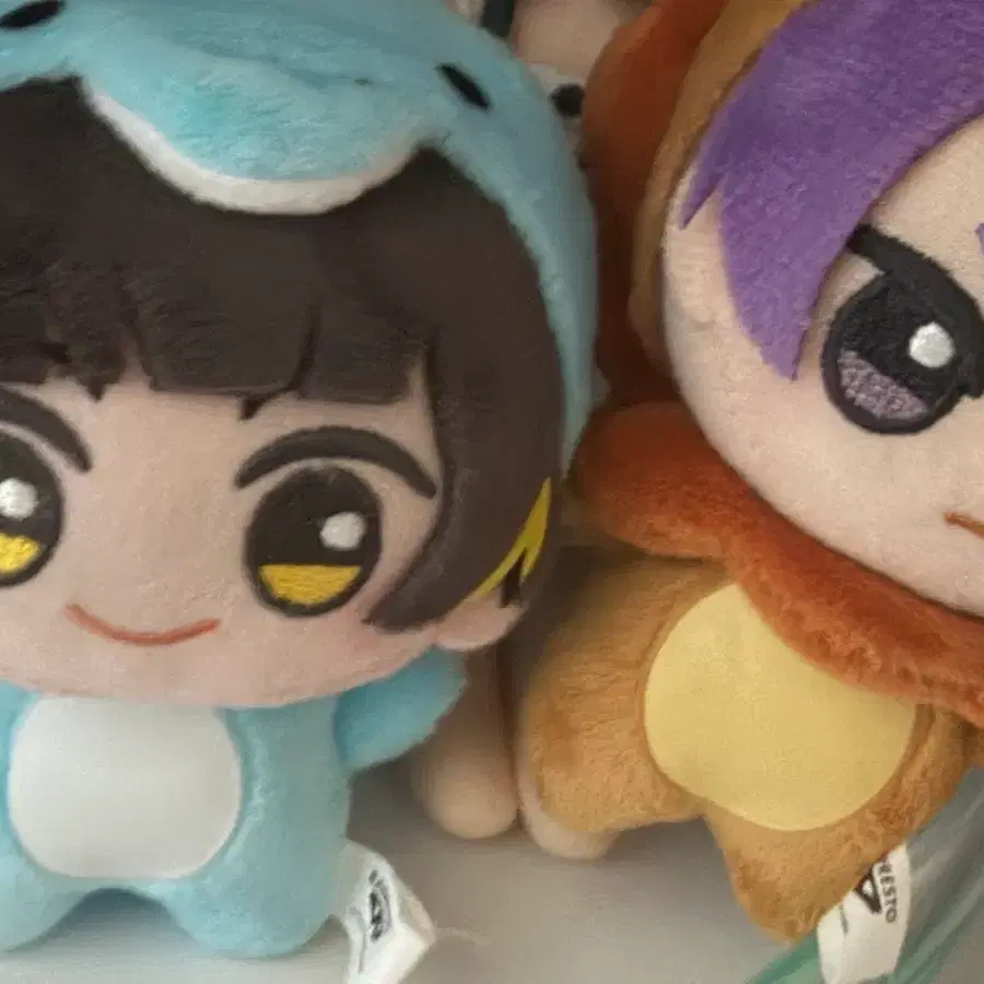 블루록 동물 누이 바치라 레오