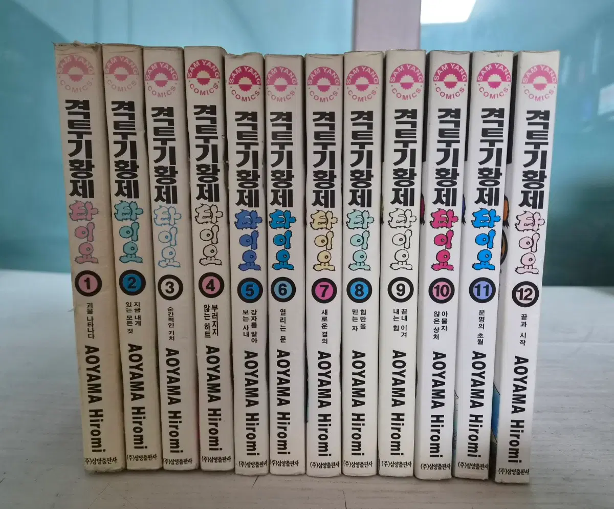 [격투만화책] 격투기 황제 타이요 전권 12권  완결