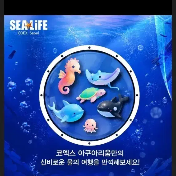 씨라이프 코엑스 아쿠아리움 입장권이에요