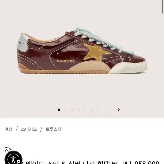골든구스 트루스타
