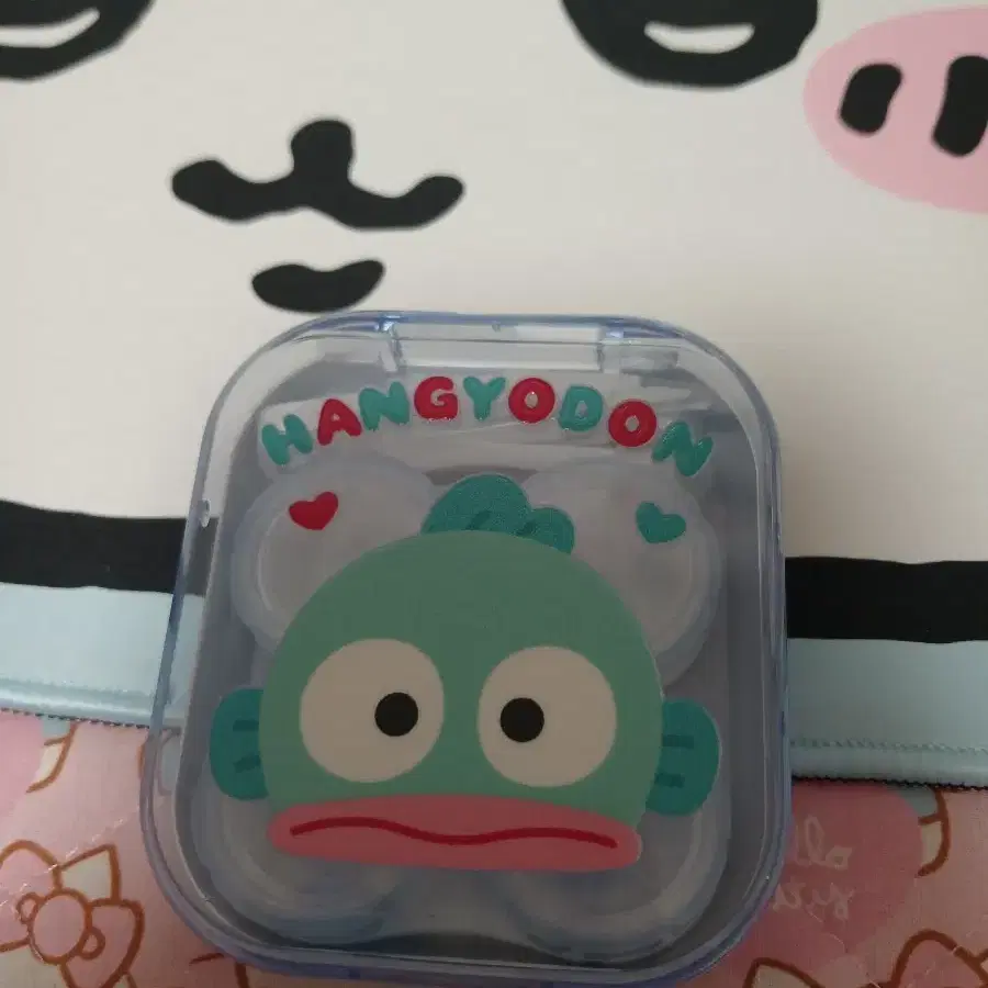 한교동 렌즈 케이스