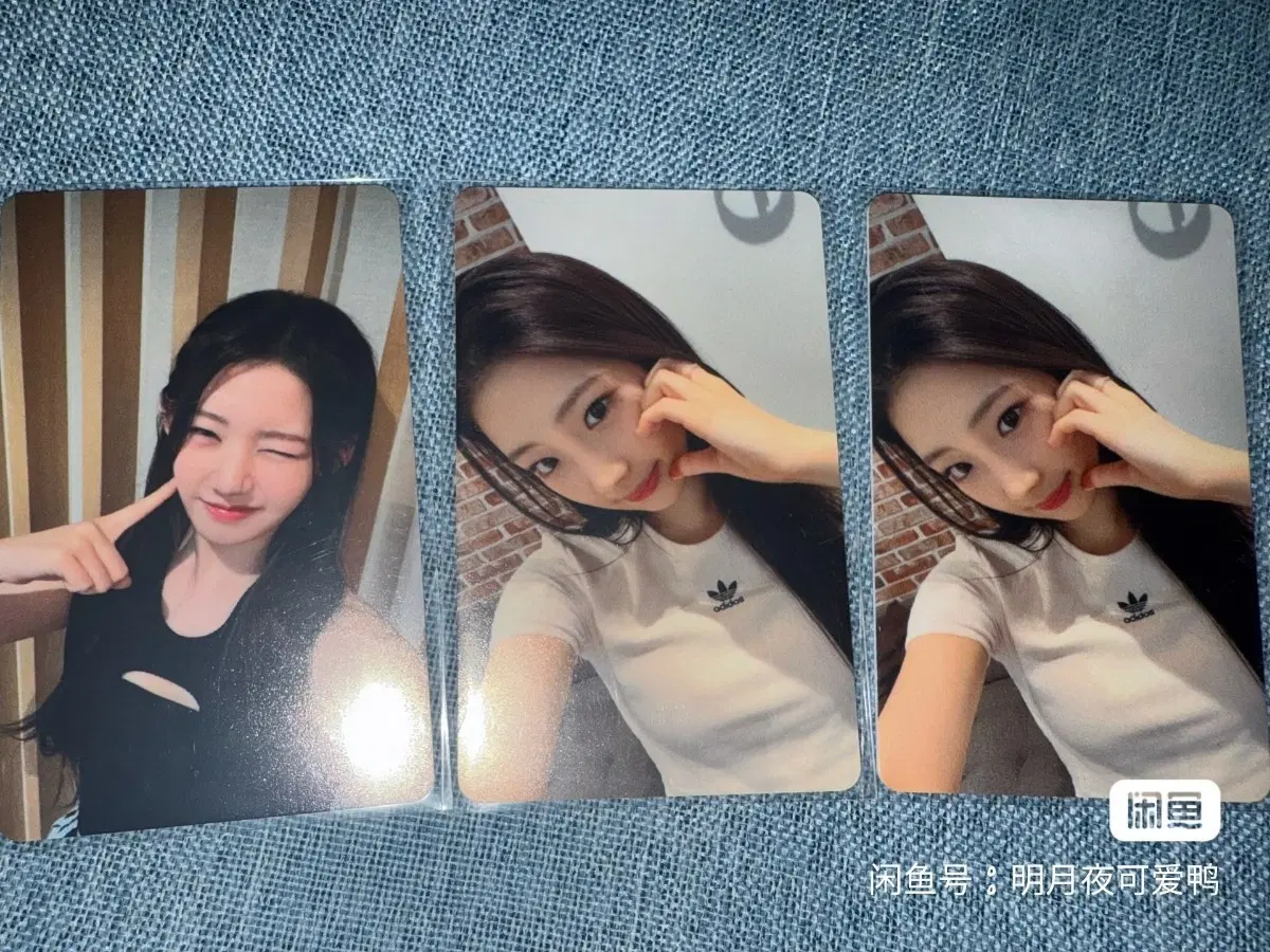 예판 베이비몬스터 자카르타 포카 로라