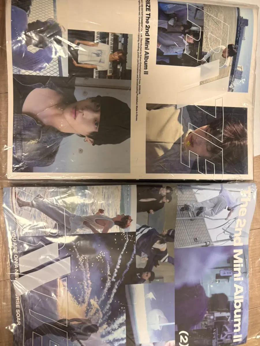 라이즈앨범