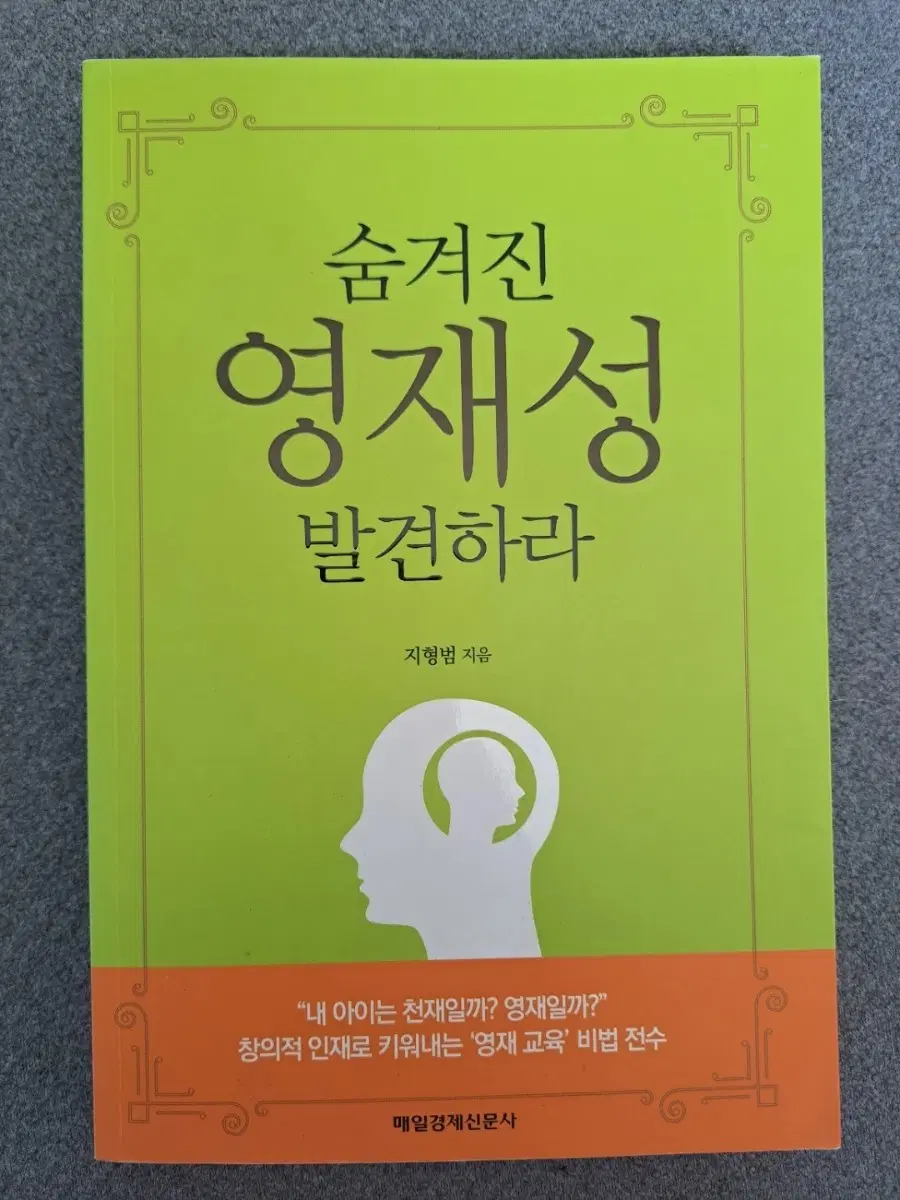 서적 숨겨진 영재성 발견해라