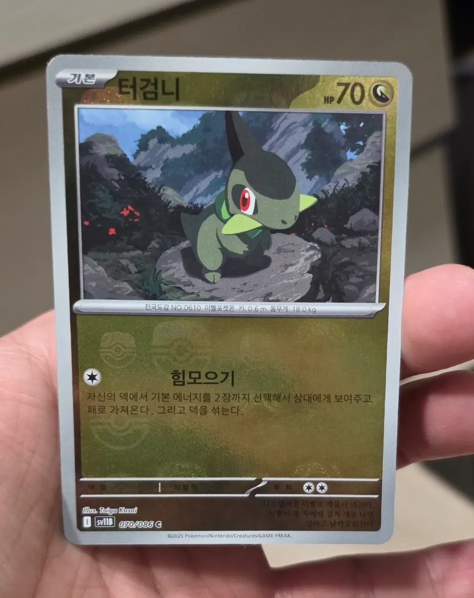 포켓몬카드 티검니 마스터볼 A급