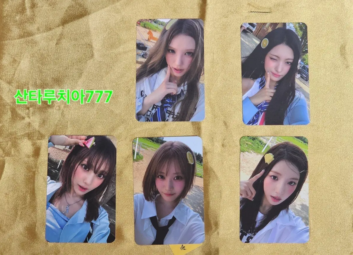 ODD YOUTH 음중 팬미팅 공포 SET