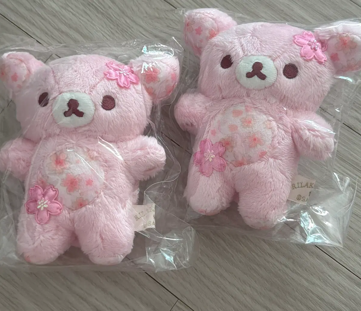 산엑스 코리락쿠마 벚꽃 마스코트