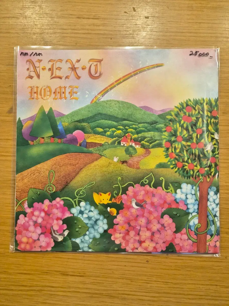 넥스트 lp