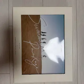BTS 2016 Summer Package | 포스터/화보 | 번개장터 중고거래