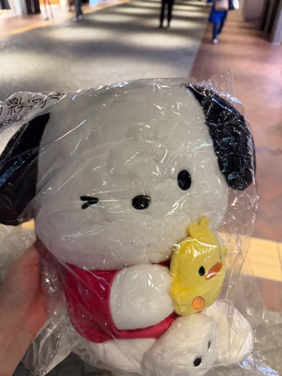 포차코 쿠지 인형 판매
