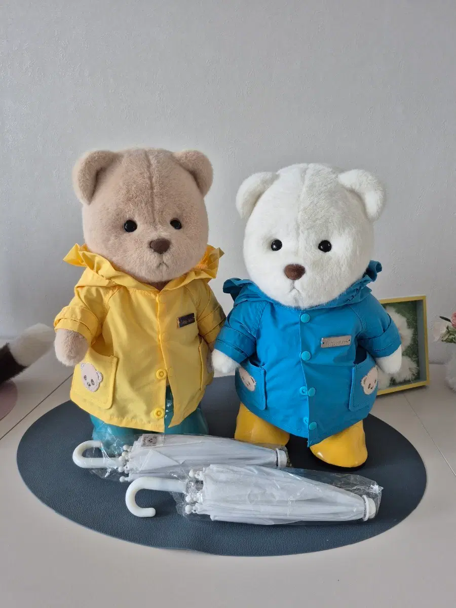 테디테일즈 M사이즈 일괄(우비포함)