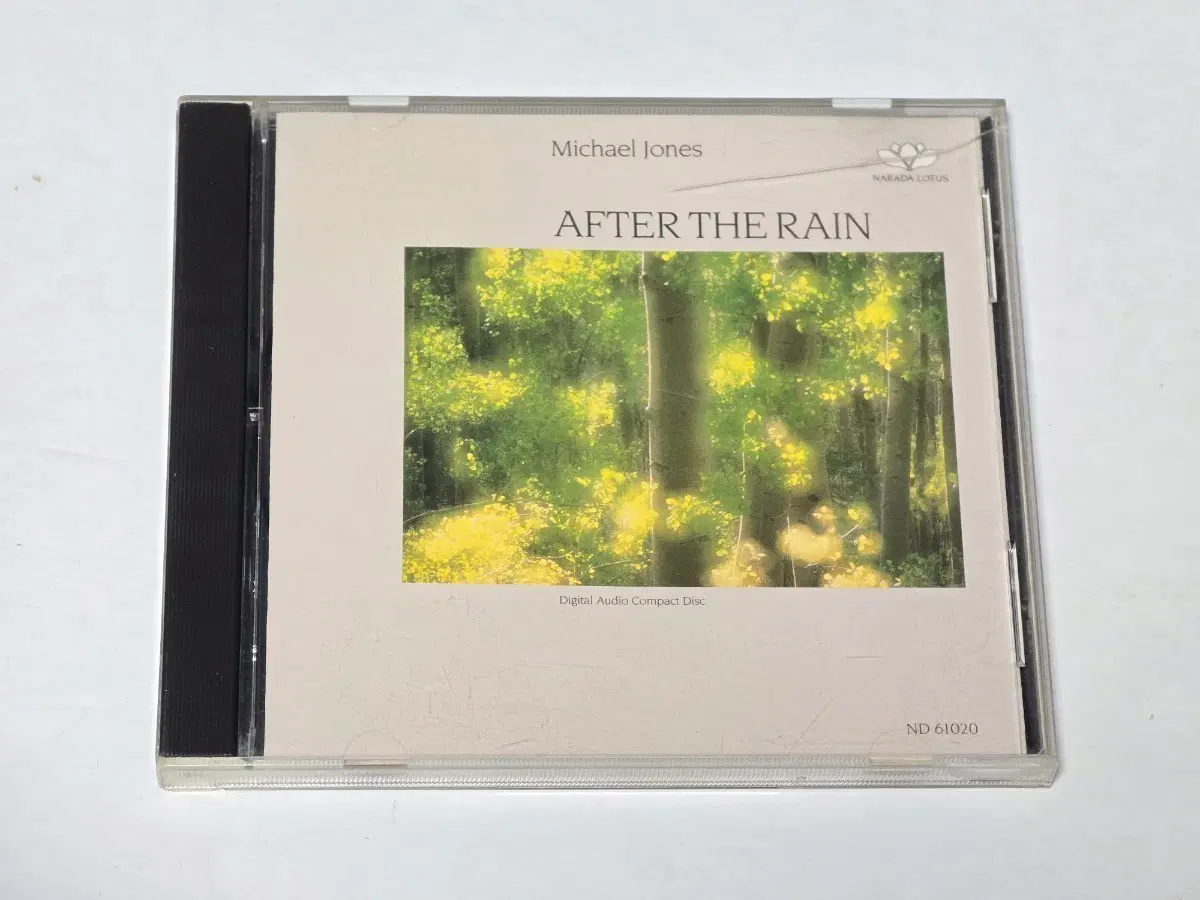마이클 존스 (Michael Jones) - After The Rain 중고 CD (US 수입반)