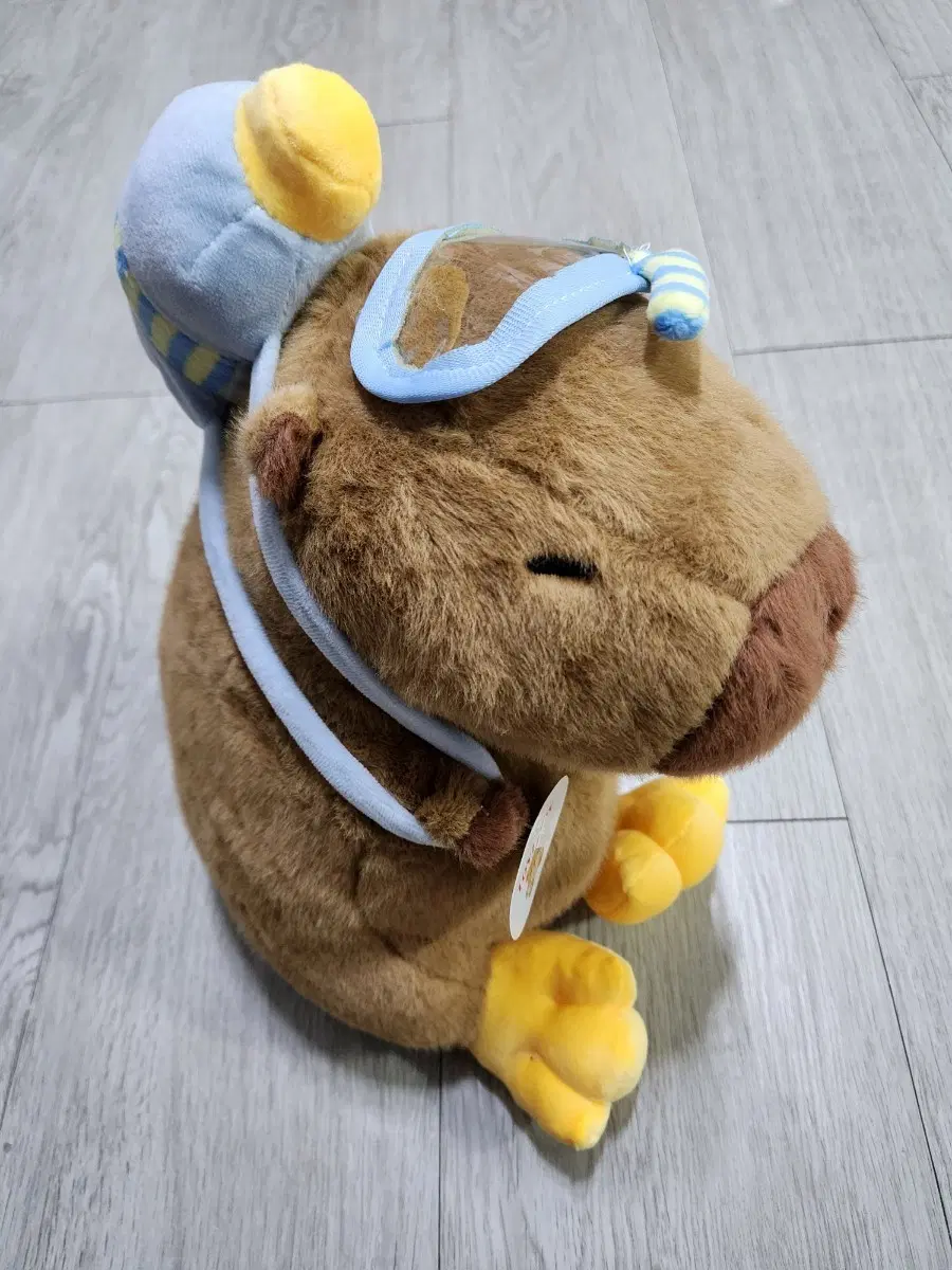 스킨스쿠버 카피바라 인형