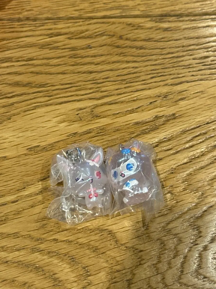 쥬얼펫 메지루시 루비, 안젤라 판매합니다!