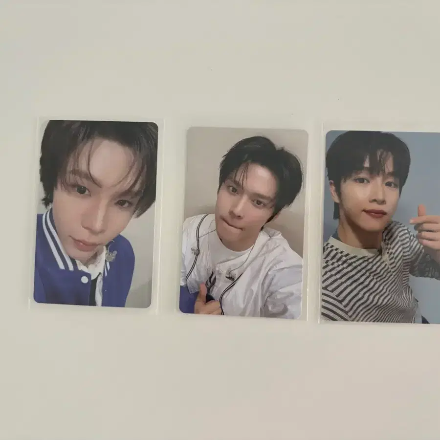 라이즈 아카이브 포카 쇼타로 은석 성찬