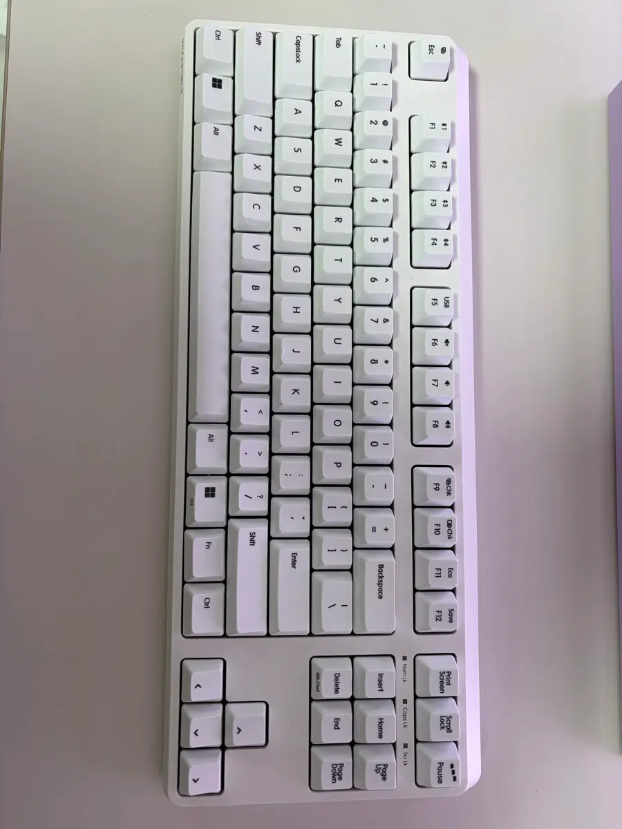 리얼포스 r4 45g 텐키리스 화이트 팝니다